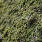 Zo houd je het vochtgehalte in huis op peil